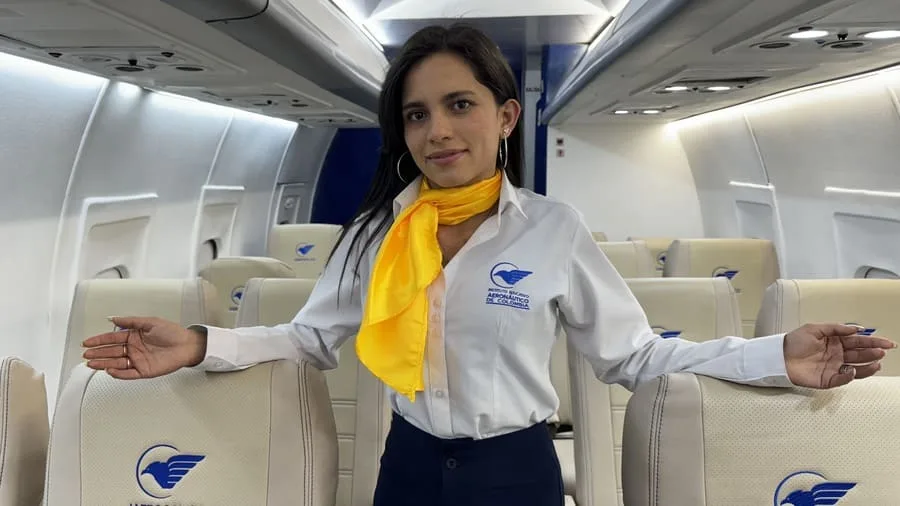 Llevar mascotas en un avión